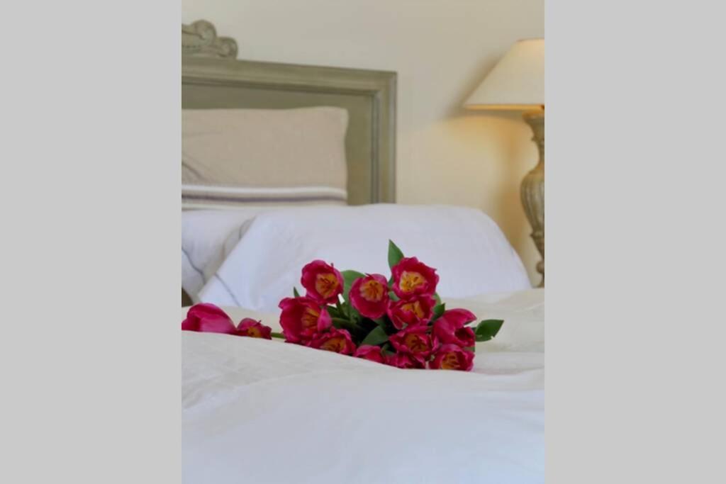 Bord De Mer - Ac, Wifi, Chic, Sea View, Beach 2 Minutes Walk Antibes Extérieur photo